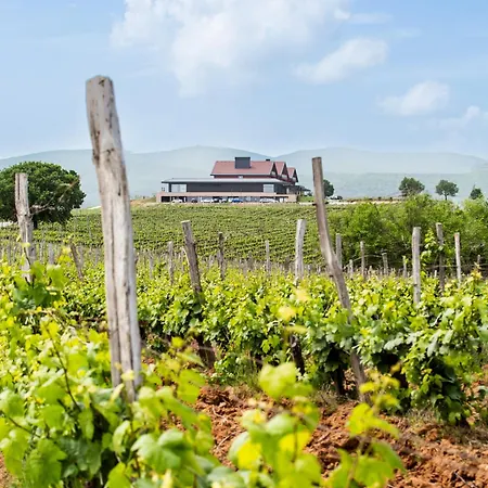 Katarzyna Svilengrad