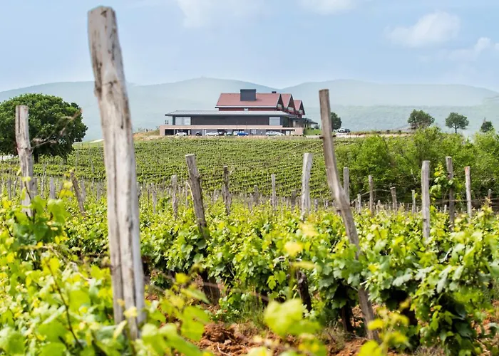 Katarzyna 스빌렌그라드